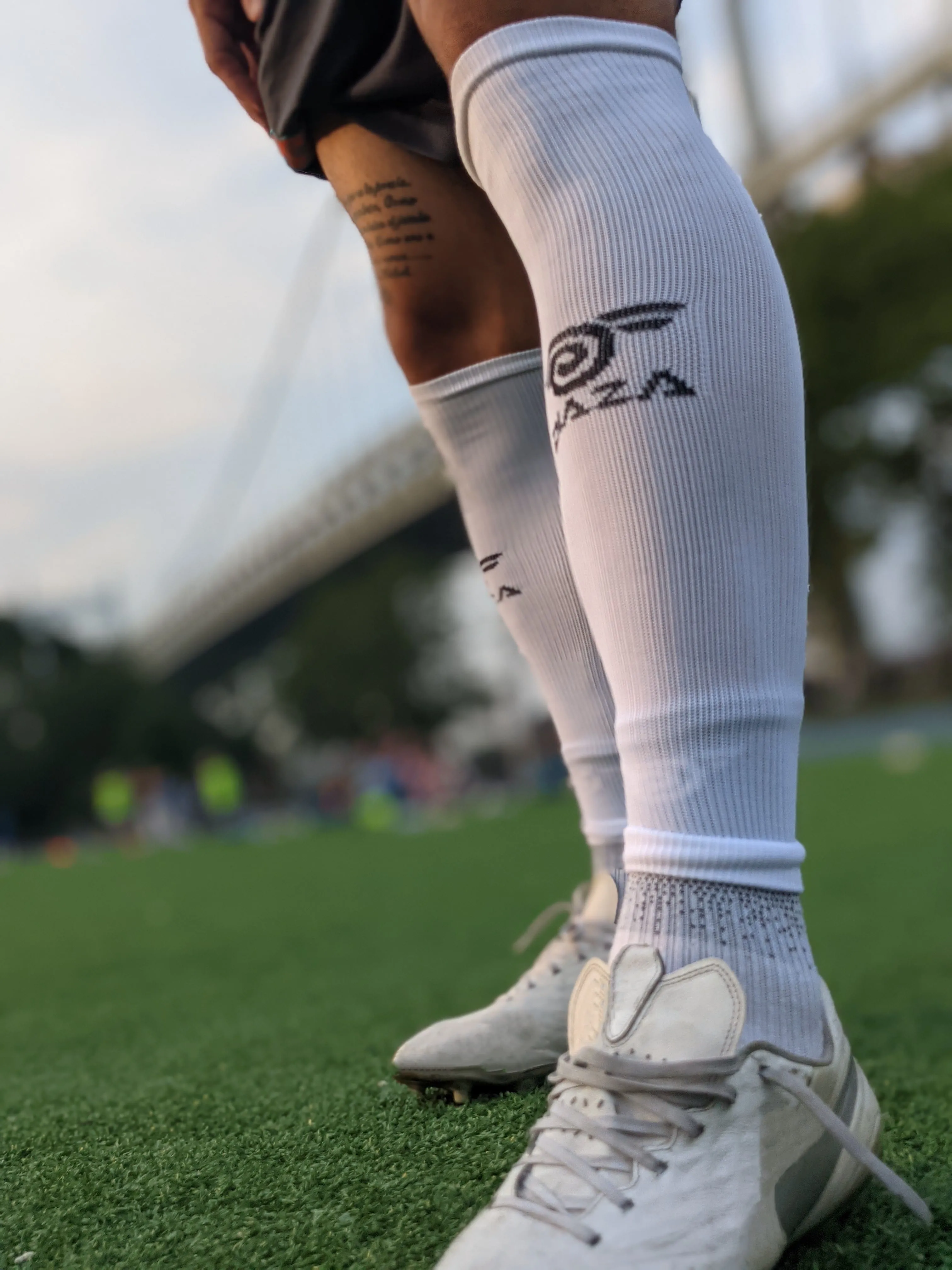 Renegades Sleeve Socks
